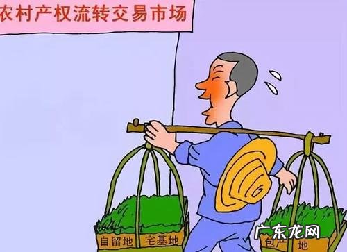 农村土地流转新政策