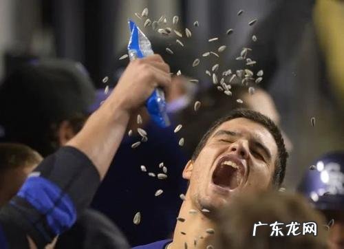 嗑瓜子科长被罚