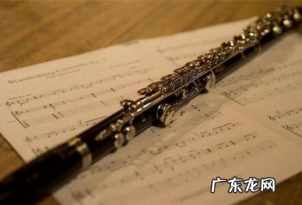 十大最有气质的乐器女