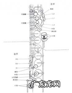 单簧管指法图