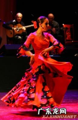 奥地利国际舞蹈节