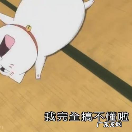 卡哇伊是什么意思