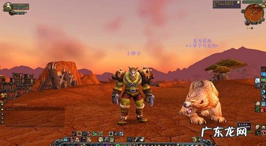 魔兽世界什么职业好玩