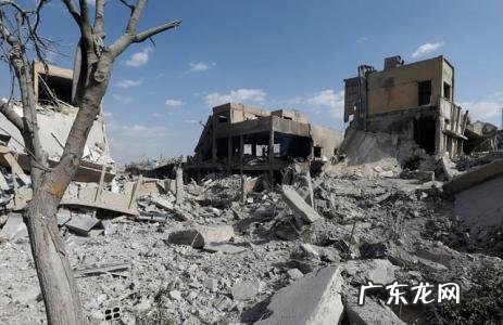 叙利亚战争起因