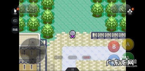 口袋妖怪蛇纹木攻略