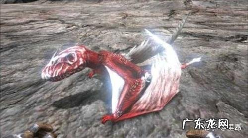 古神翼龙吃什么饲料