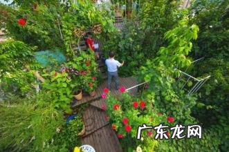 杭州空中后花园