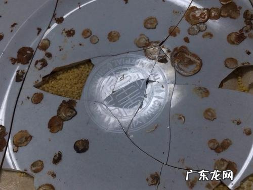 致远舰发现遗骸