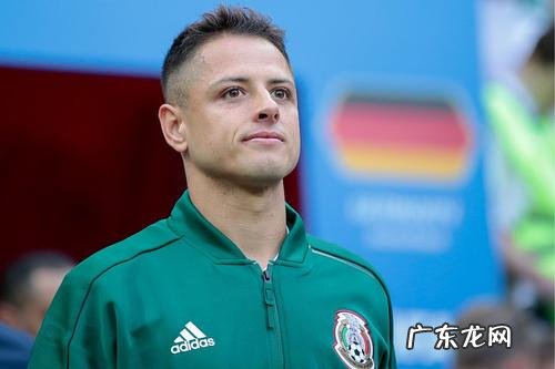 小豌豆埃尔南德斯