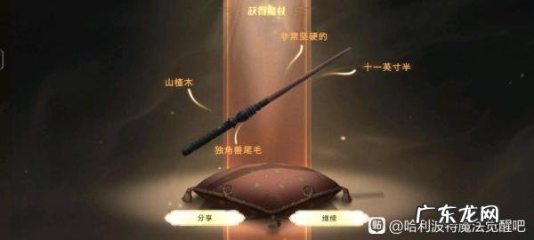 哈利波特魔杖杖芯大全