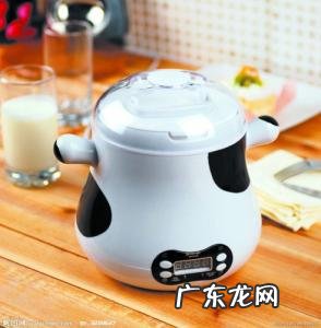 哪个牌子的酸奶机好