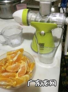哪款榨汁机好