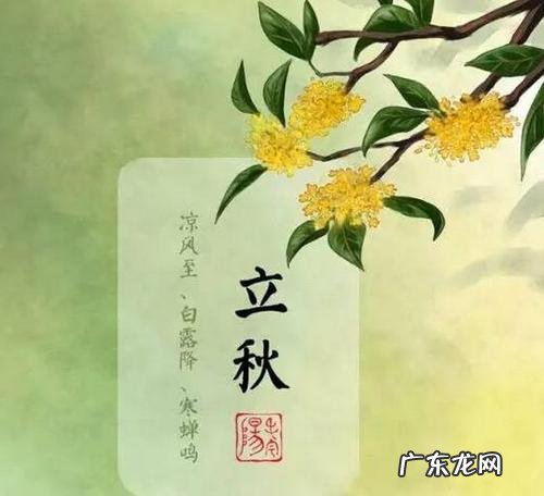 立秋是几月几号2021年的立秋几点