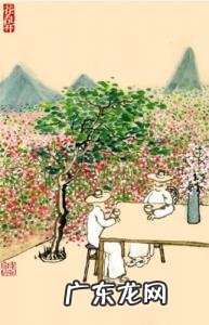 四十不惑是什么意思