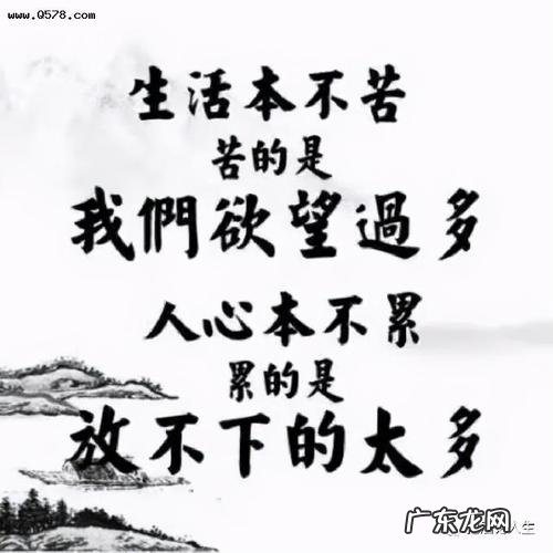 四十而不惑什么意思