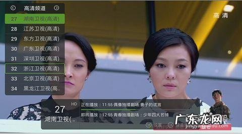 地方频道电视直播