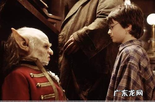 神奇动物在哪里和哈利波特的关系