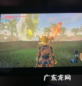 塞尔达最强套装