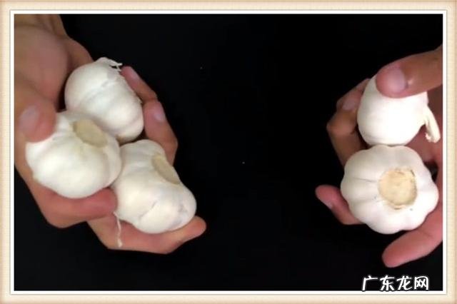 大蒜塞鼻消鱼刺原理