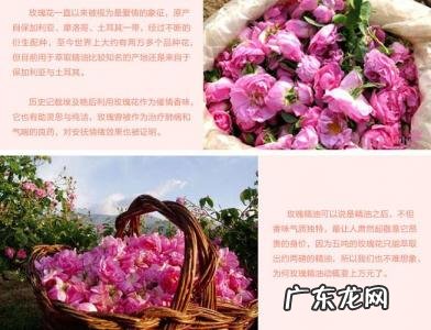 大马士革玫瑰精油