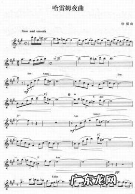 夜曲歌词