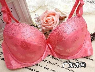 女士内衣品牌排行榜