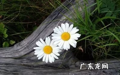 一月再见二月你好的说说