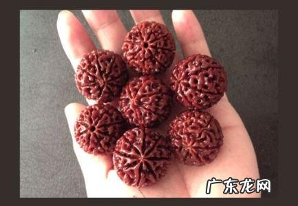 如何清理金刚菩提子