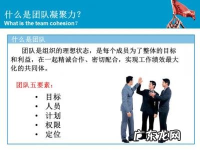 如何打造团队凝聚力
