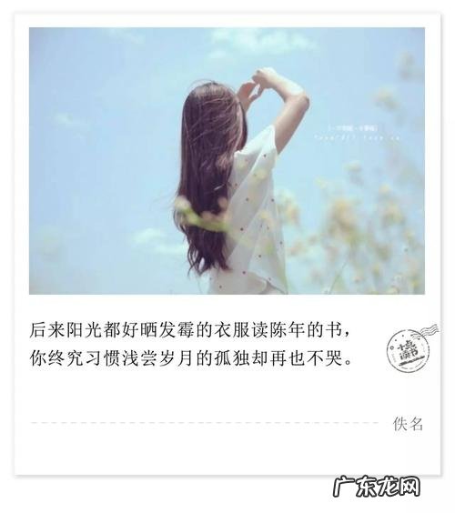 再也不愿见你在深夜里买醉