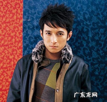 李维嘉代言疑似翻车