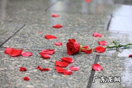 宁缺毋滥是什么意思对于爱情是