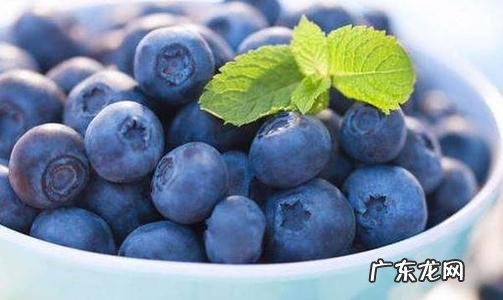 蓝莓一天吃多少为宜