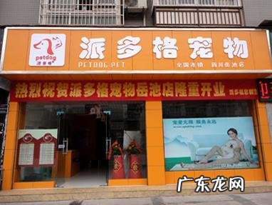 宠物店一年利润怎么样