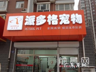 宠物店加盟要多少钱