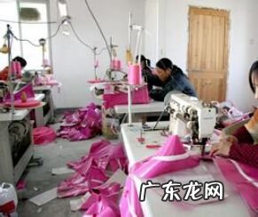 家庭办厂致富项目