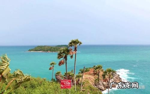 爱是唯一的热带