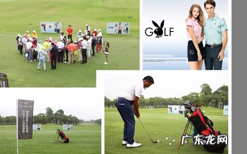 高尔夫赛事