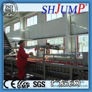 小型生产加工项目