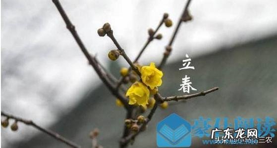 2021年立春是几月几号几点几分