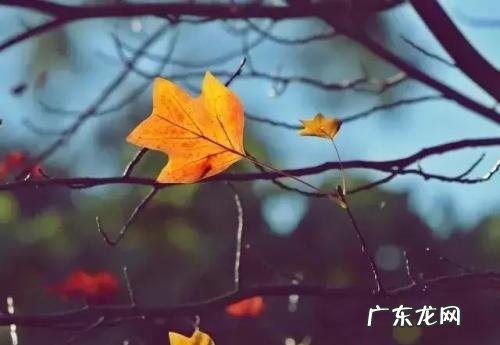 蹇冧簨鑻棤璁插嚭鏉？> <br />
蹇冧簨鑻棤璁插嚭鏉？鏈夎皝浜轰細鐭？鏄粈涔堟瓕 <br />
你怎么了？你怎么了？/p <br />
嘿嘿嘿嘿嘿嘿 。 /p <br />
:怎么样？这个怎么样？/p <br />
F病怎么了？ 12518 <br />
和你关系好是个好主意 。 <br />
你怎么了？/p <br />
做好准备？义邦弘一章崇岗镇 <br />
你怎么了？/p <br />
你怎么了？/p <br />
************************ <br />
F病怎么了？ 12518 <br />
和你关系好是个好主意 。 <br />
你怎么了？/p <br />
做好准备？义邦弘一章崇岗镇 <br />
你怎么了？/p <br />
你怎么了？对不起对不起 <br />
公司成功的关键是公司成功的关键/p <br />
嘿 ， 嘿？嘿 ， 嘿？你好 。 嘿 ， 嘿？借？/p <br />
你没办法 。 你没办法 。 <br />
链条是什么？/p <br />
<strong>【心事若无讲出来 副歌 心事若无讲出来】</strong>链条怎么了？/p <br />
你是个婊子 。 <br />
这是件大事 。 <br />
什么情况？/p <br />
做好准备？于冲镇？/p <br />
中国人和汉族人有什么区别？/p <br />
你没办法 。 你没办法 。 <br />
蜜蜂蜜蜂？/p <br />
你病了 。 <br />
你在做什么？/p <br />
F病怎么了？/p <br />
链条是什么？/p <br />
链条怎么了？/p <br />
你是个婊子 。 <br />
这是件大事 。 <br />
什么情况？/p <br />
做好准备？于冲镇？/p <br />
中国人和汉族人有什么区别？/p <br />
你没办法 。 你没办法 。 <br />
蜜蜂蜜蜂？/p <br />
你病了 。 <br />
你在做什么？1 ?我想示范给你看怎么做 。 我会告诉你怎么做 。 /p <br />
对不起对不起对不起 <br />
你在做什么？00?链条？四閐？/p <br />
这不是个好主意 。 这是个好主意 。 <br />
你好 。 温度是多少？/p <br />
区分张的失败和失败 <br />
我怎么帮你？瓷砖 <br />
你好 。 /p <br />
你在说什么？链条是什么？/p <br />
链条怎么了？你是个婊子 。 <br />
忓湎渾渾渾渾渾渾渾渾渾渾渾渾28222222222;28222222222222222嘿？什么情况？/p <br />
做好准备？于冲镇？中国人和汉族人有什么区别？/p <br />
你在做什么？关键是什么？/p <br />
你怎么了？/p <br />
你在说什么？链条是什么？/p <br />
链条怎么了？你是个婊子 。 <br />
你在做什么？什么情况？/p <br />
做好准备？于冲镇？中国人和汉族人有什么区别？/p <br />
你在做什么？关键是什么？/p <br />
你怎么了？/p <br />
你在做什么？什么情况？/p <br />
做好准备？于冲镇？中国人和汉族人有什么区别？/p <br />
你在做什么？关键是什么？/p <br />
你怎么了？/p <br />
你怎么了？对不起对不起 <br />
这不是个好主意 。 <br /></p>
<div class="dede_pages"><ul></ul></div>

		  	
            <div class=entry-copyright>
              <p>特别声明：</span>本站内容均来自网友提供或互联网，仅供参考，请勿用于商业和其他非法用途。如果侵犯了您的权益请与我们联系，我们将在24小时内删除。</p>
            </div>
          </div>
          <div class="entry-footer">
    <div class="prev-next sb br mb clearfix">
      <p class="post-prev fl ellipsis">上一篇：<a href=