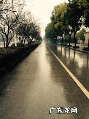 淋雨一直走歌词