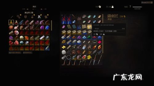 巫师3猫学派装备升级蓝图之一