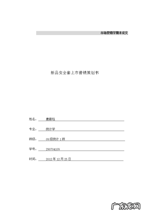 市场营销策划书范文