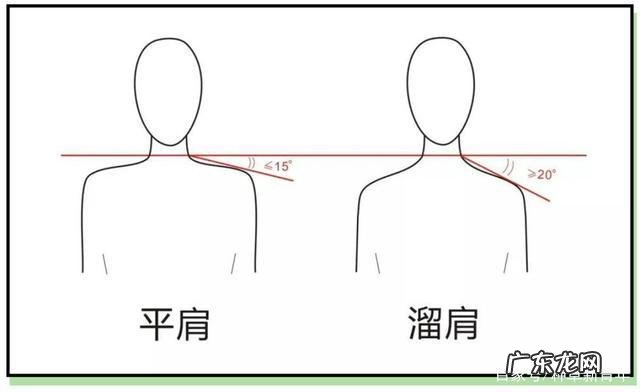 平肩和溜肩的区别图片