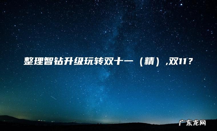 整理智钻升级玩转双十一（精）,双11？