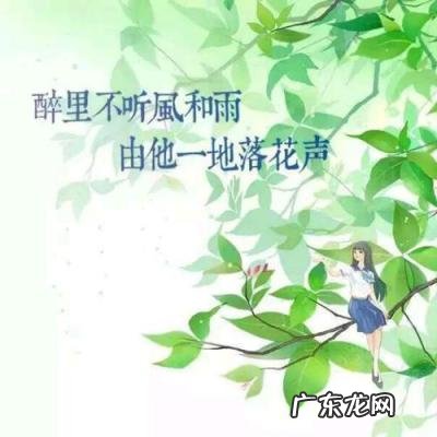 歌曲曾经心痛