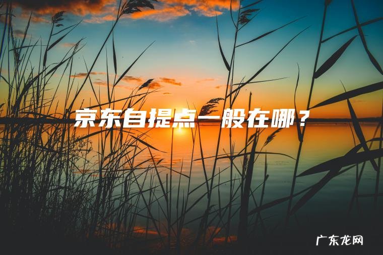 京东自提点一般在哪？