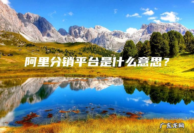 阿里分销平台是什么意思？