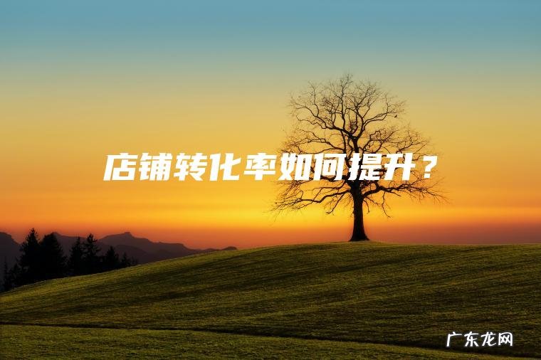 店铺转化率如何提升？